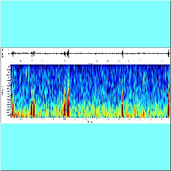Serrasalmus sanchezi_spectrogram.png